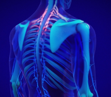 Stress and the Body animation