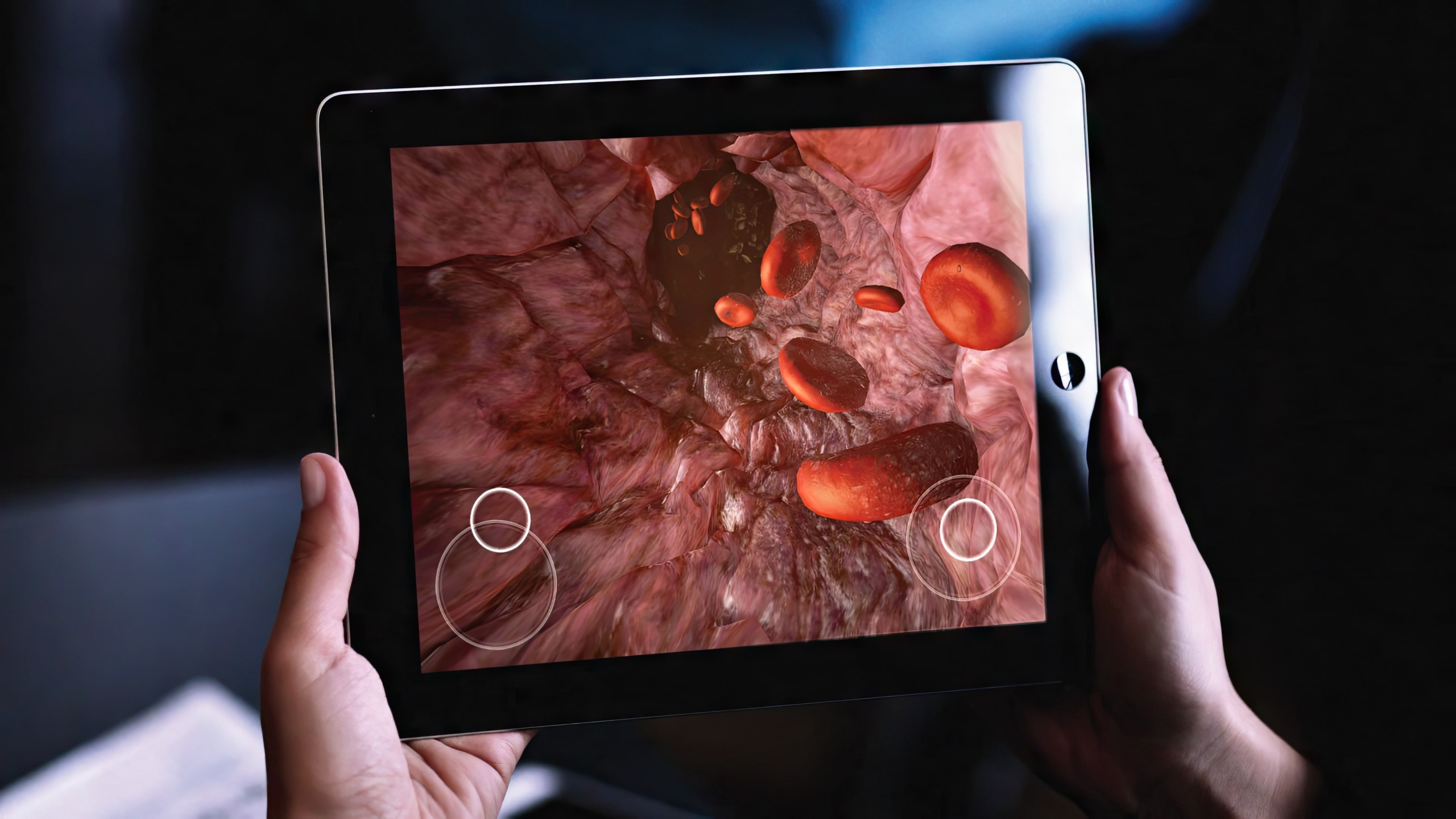 Random42 interactive scientific experiences