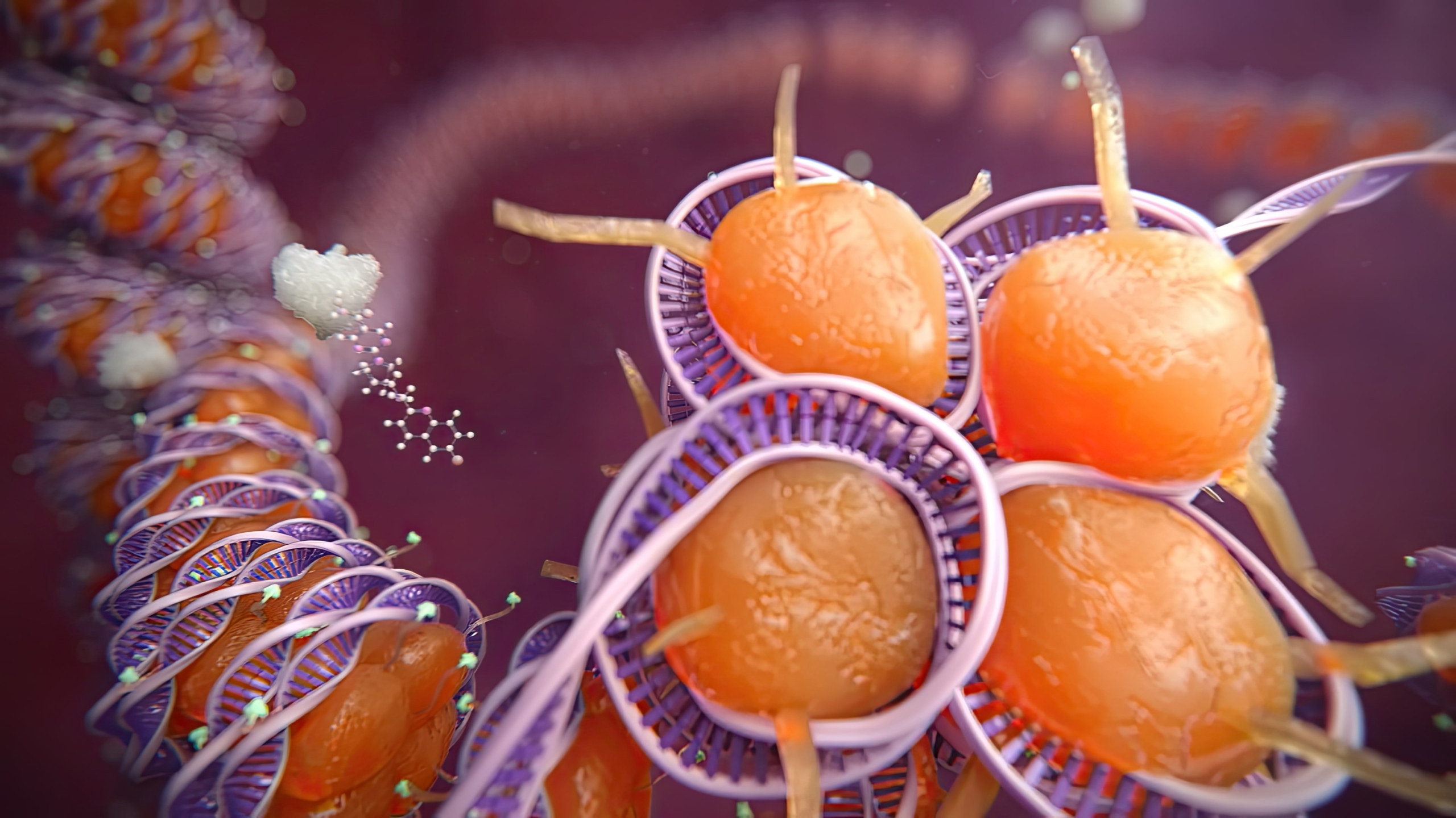 Biotechnology Medical Animation