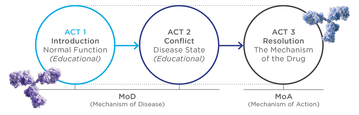 Three act play approach to MOA