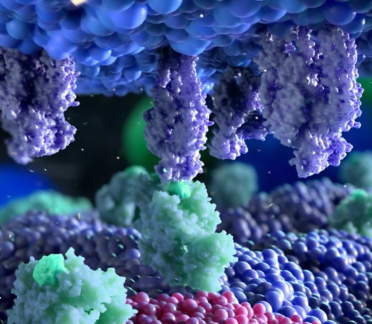 immunotherapy scientific animation