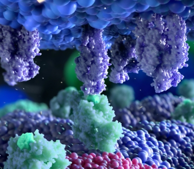 immunotherapy scientific animation