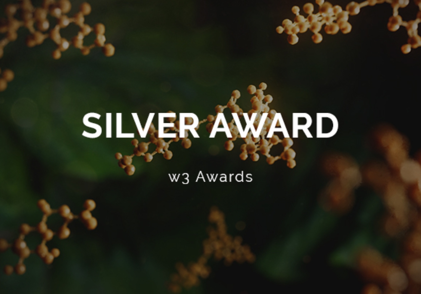 random42 w3 awards 2023