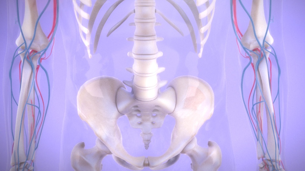 blood cancer transplant animation