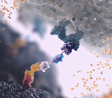 cancer platform medical animation