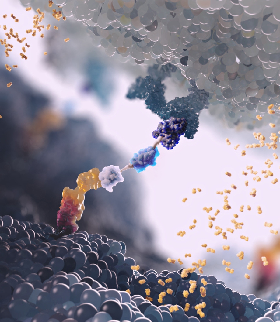 cancer platform medical animation