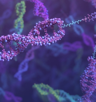 dna libraries scientific animation