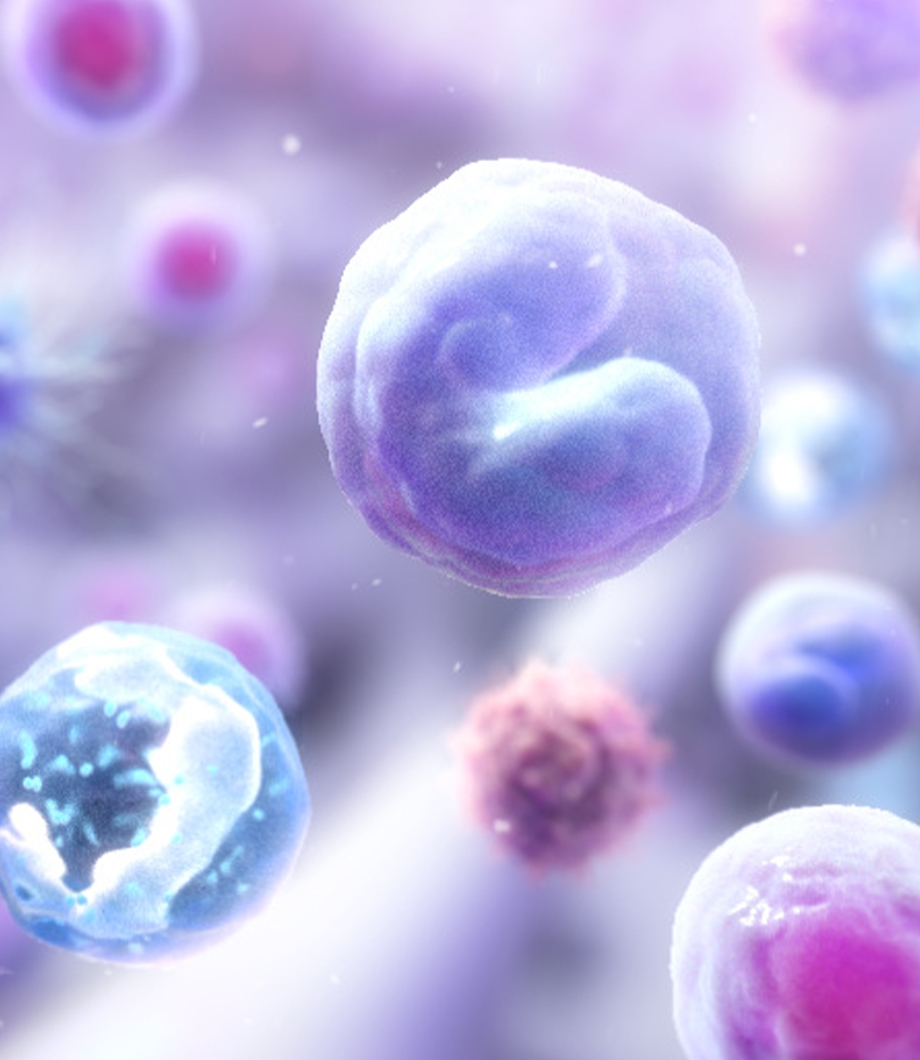 stem cell transplant scientific animation