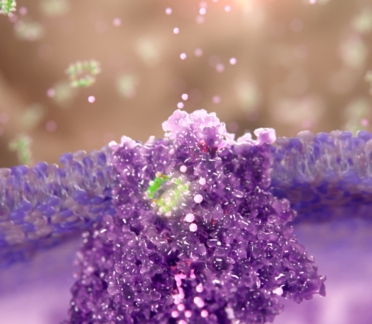 neuropathic pain scientific animation