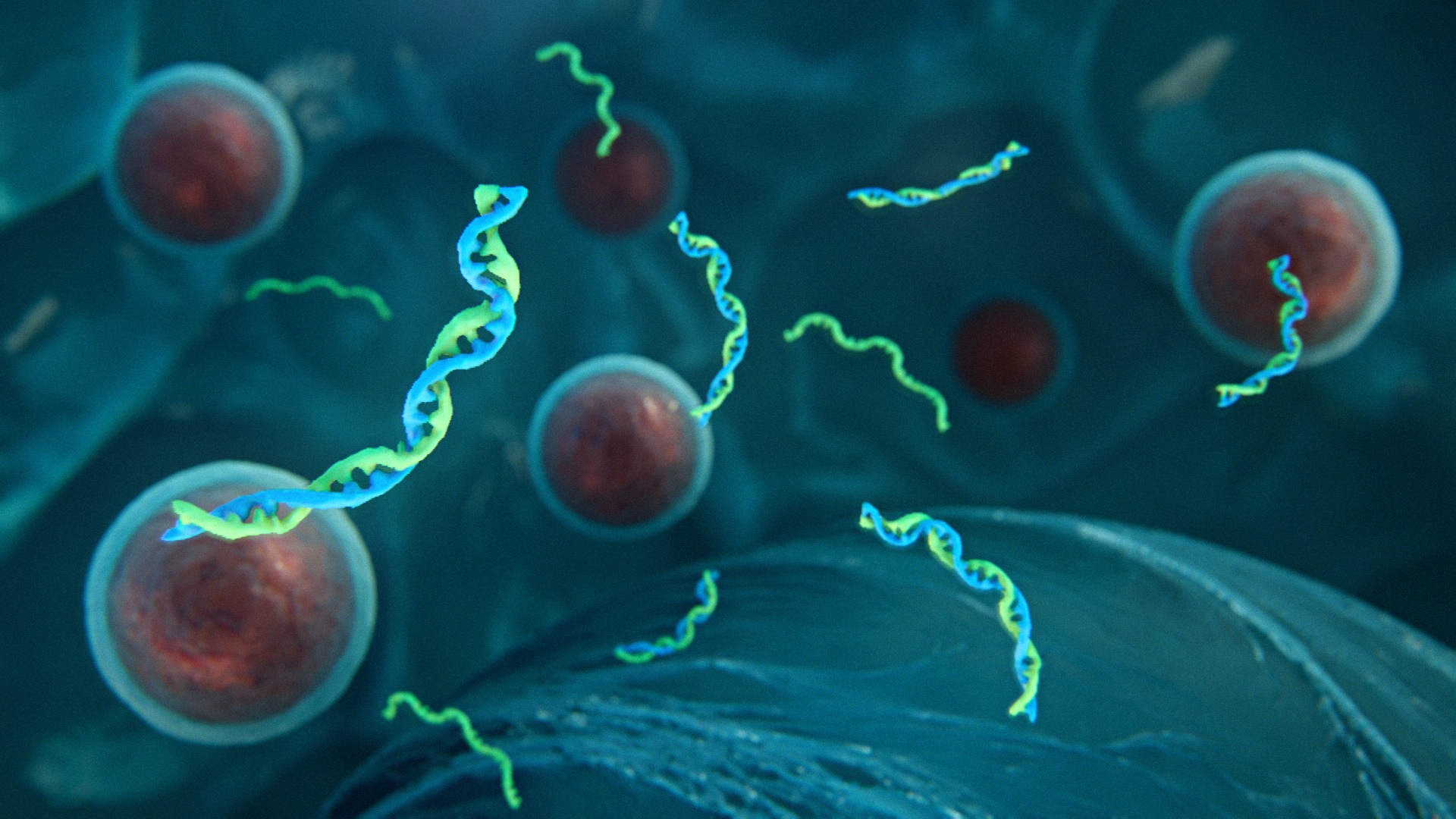 cancer scientific animation metastatic