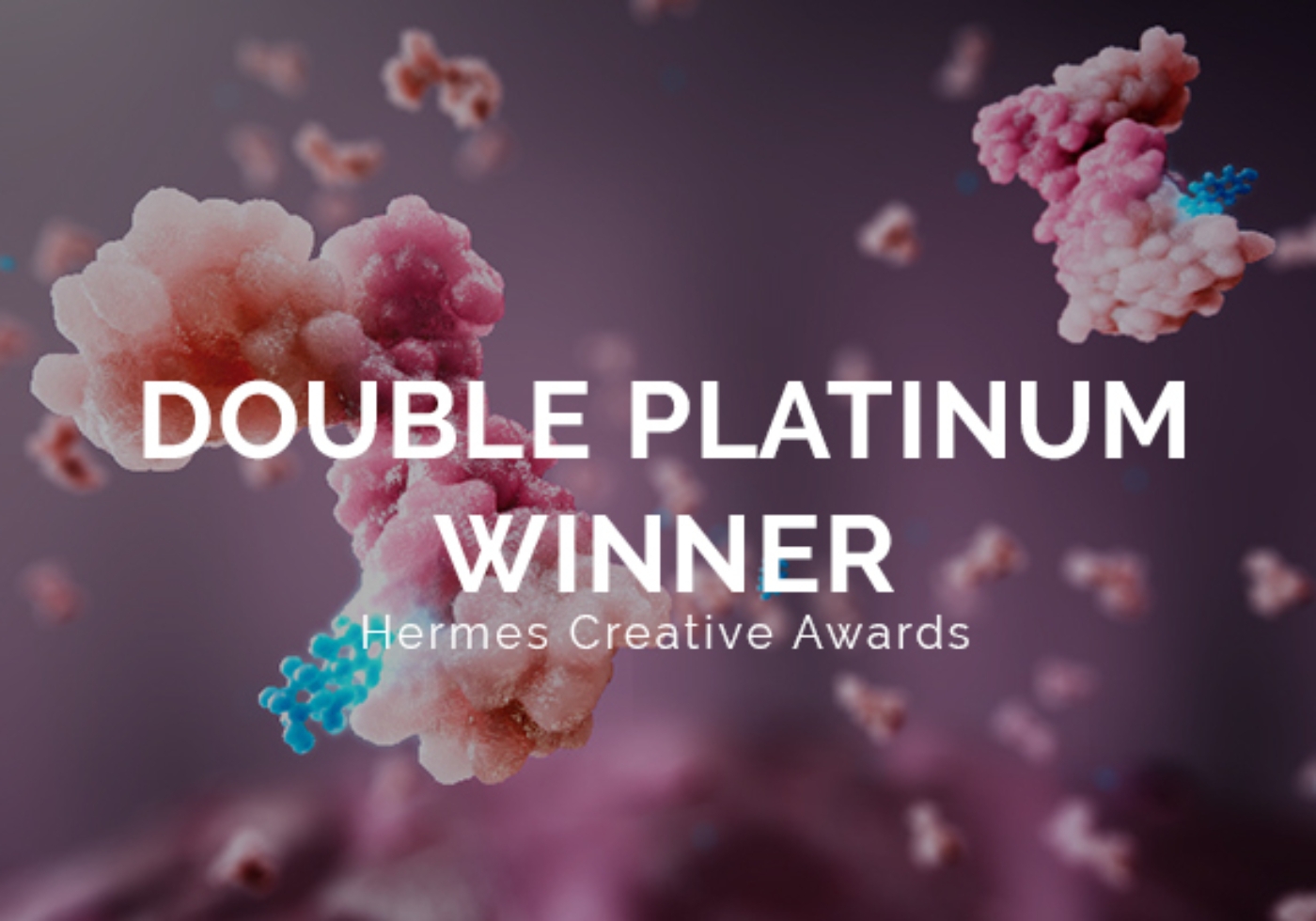 Hermes 2024 creative award