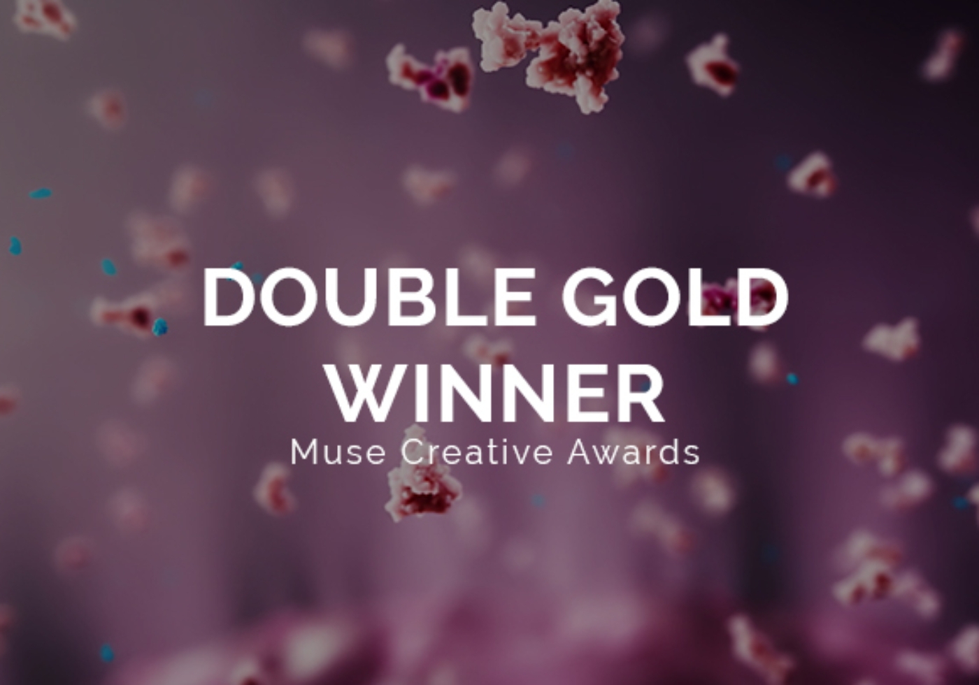 muse 2024 creative award