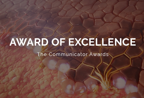 2024 communicator awards