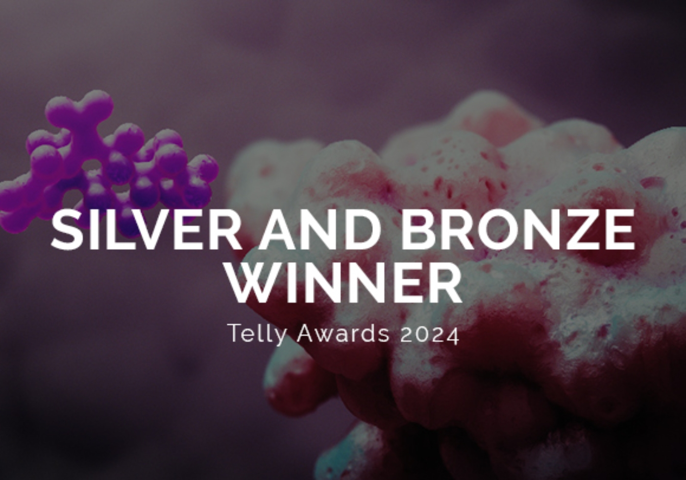 Random42 Telly Awards 2024