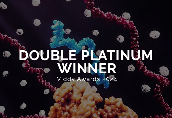 Random42 viddy awards 2024