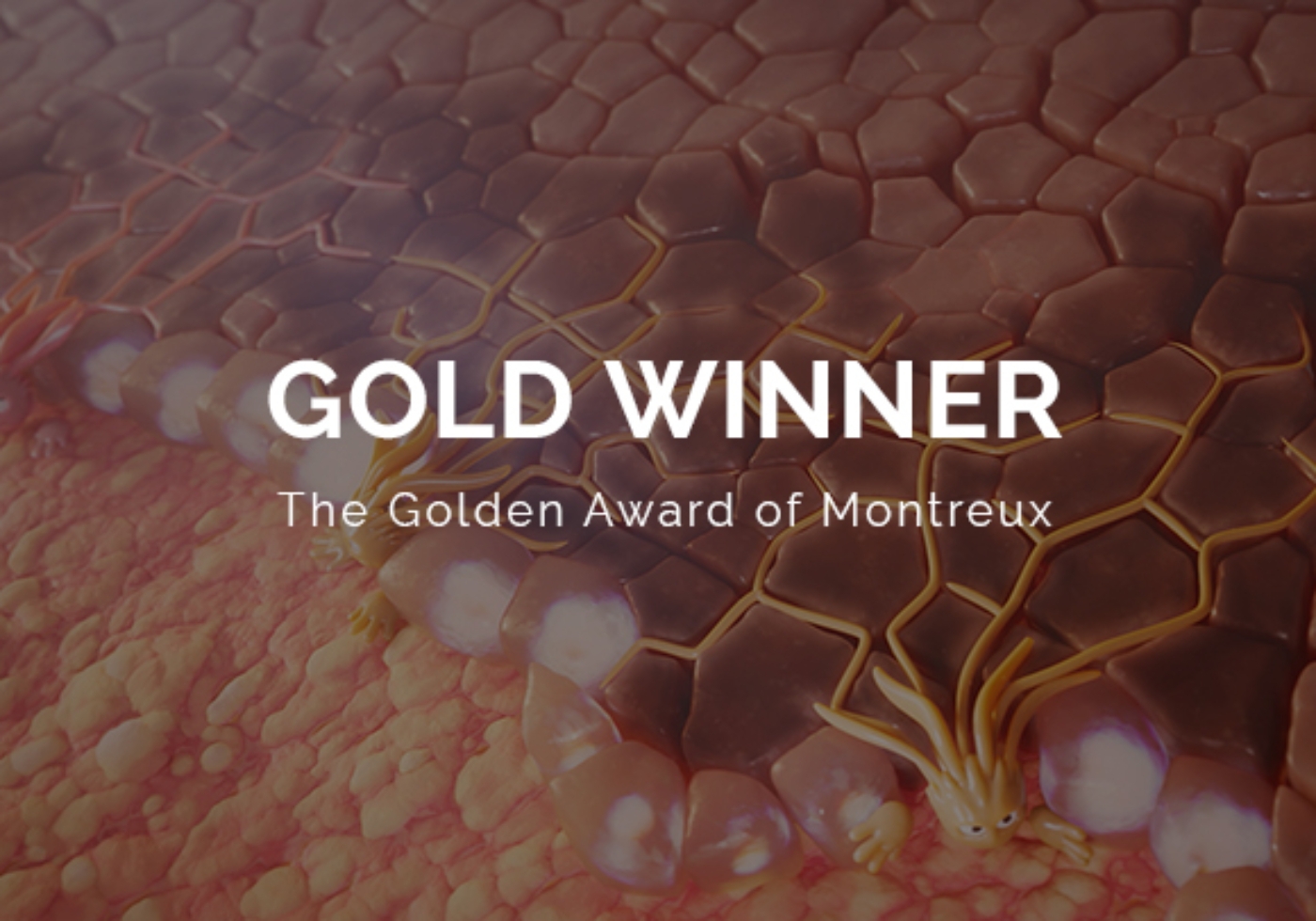 golden award of montreux 2024