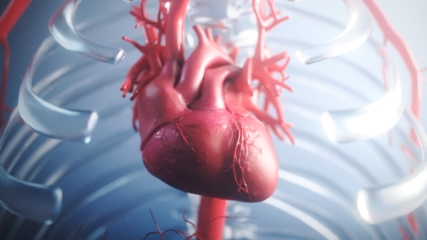 Bite sized scientific animation