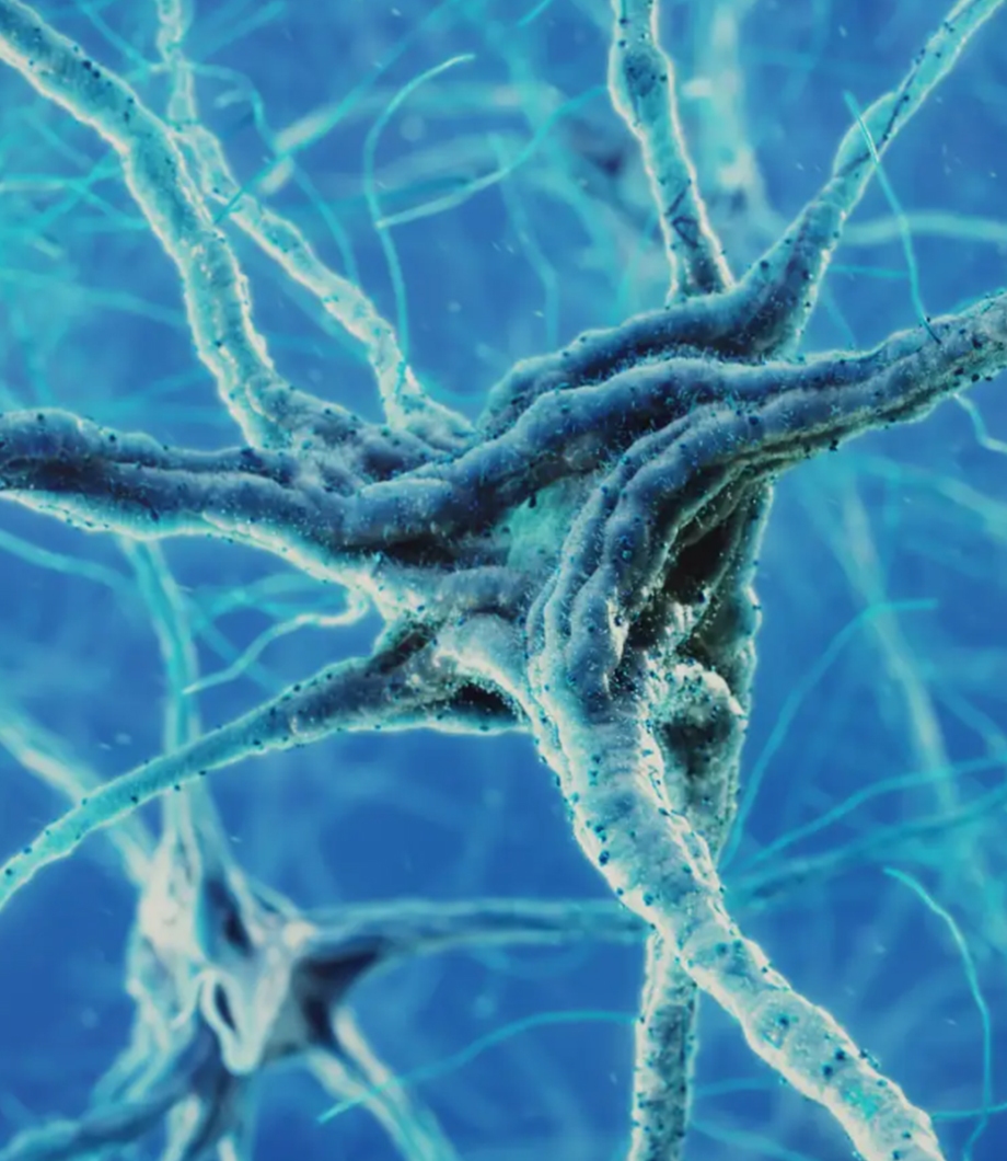 Spinal Muscular Atrophy Interactive Microsite