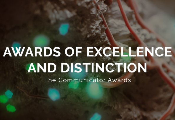 communicator awards 2025