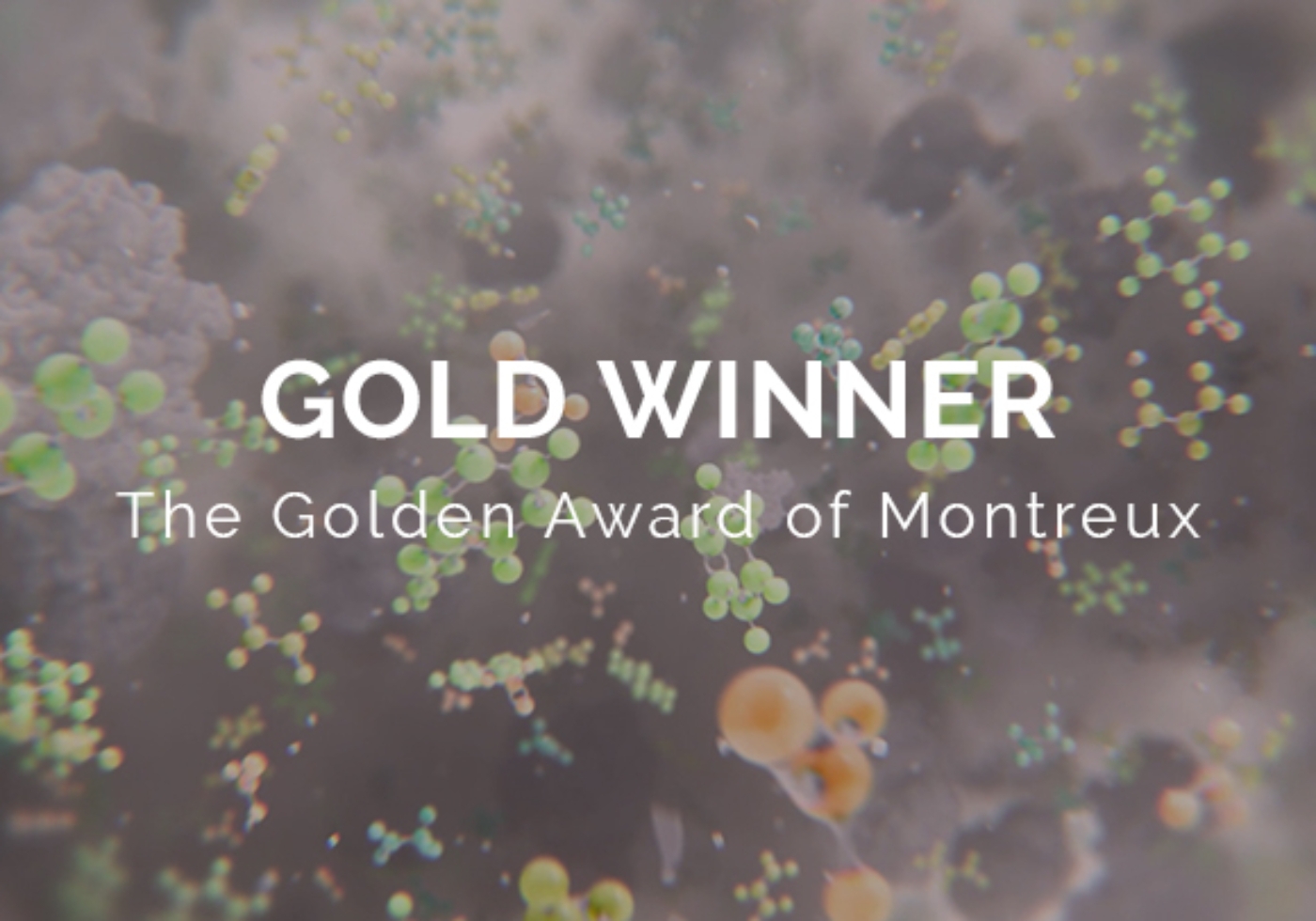 random42 golden award of montreux 2025
