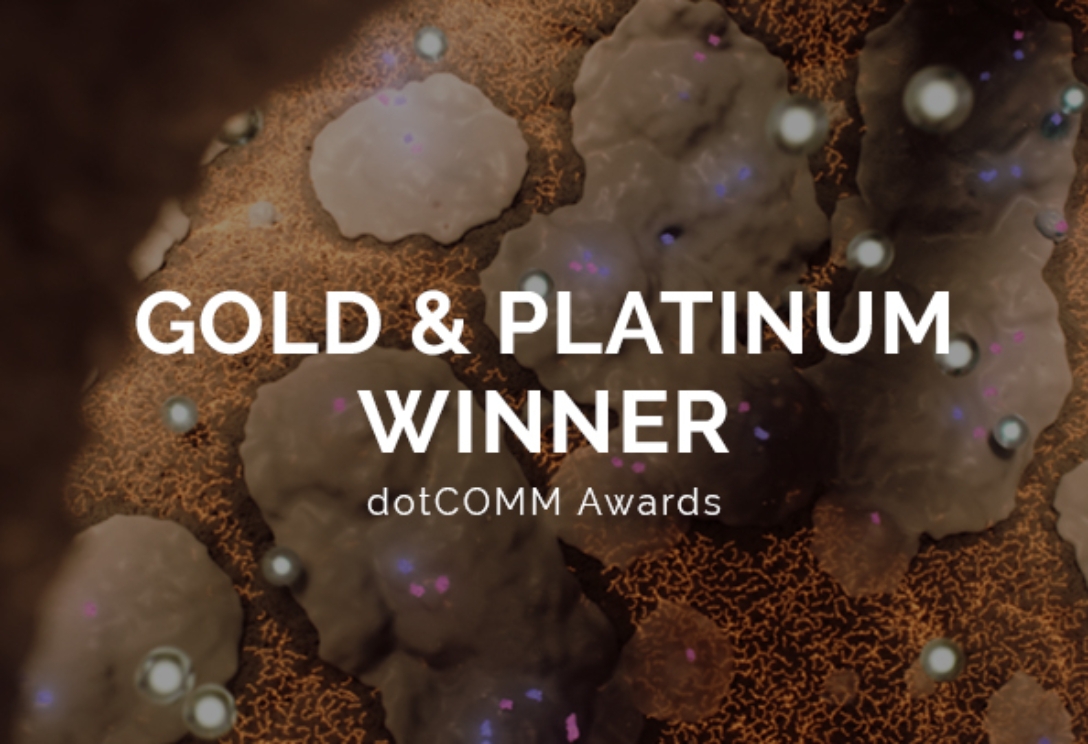 dotCOMM awards 2025