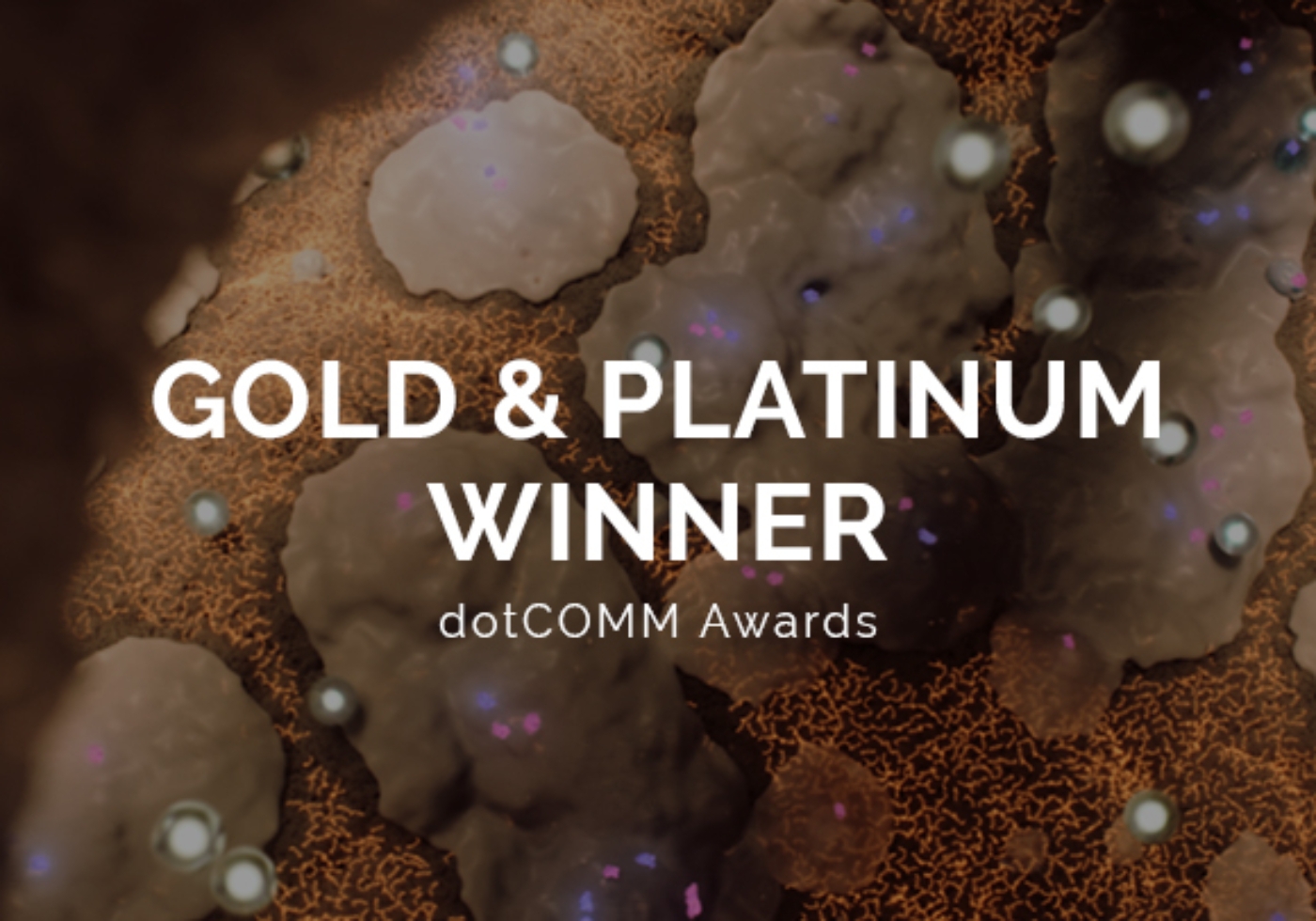 dotCOMM awards 2025