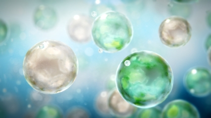 animation medical pharma comms