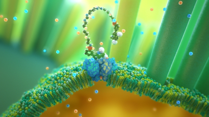 branded animation content pharma