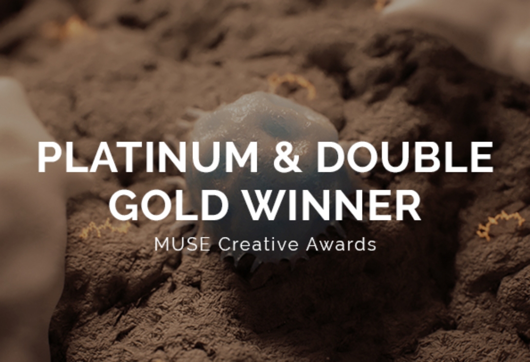 MUSE creative awards 2025