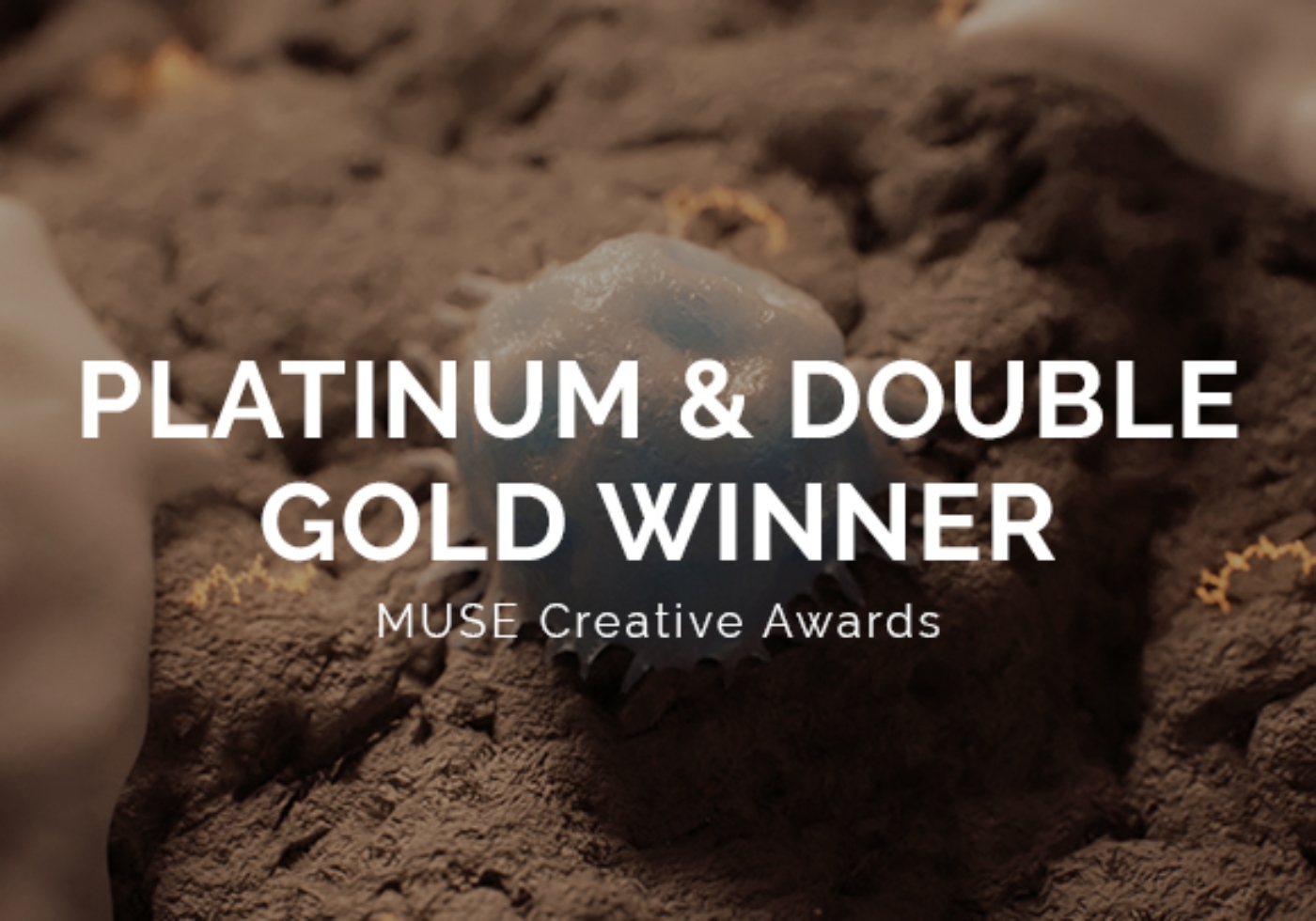 MUSE creative awards 2025