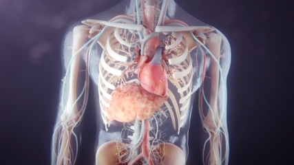 pharma disease awareness digital content