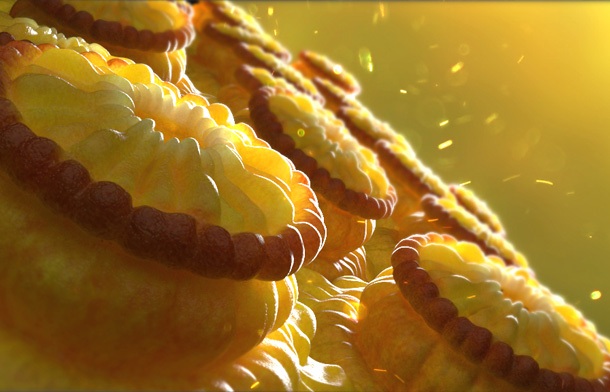 3D model of sea life designed by Random42