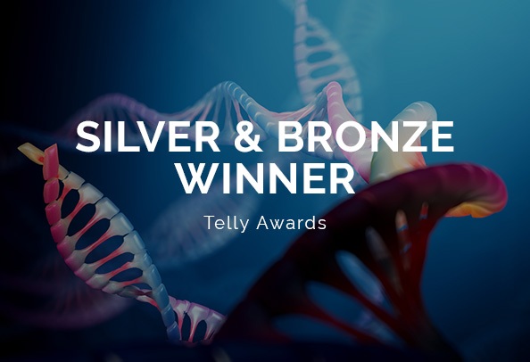 Telly Awards 2023