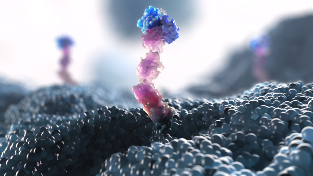 ASCO2024 Animation Provider