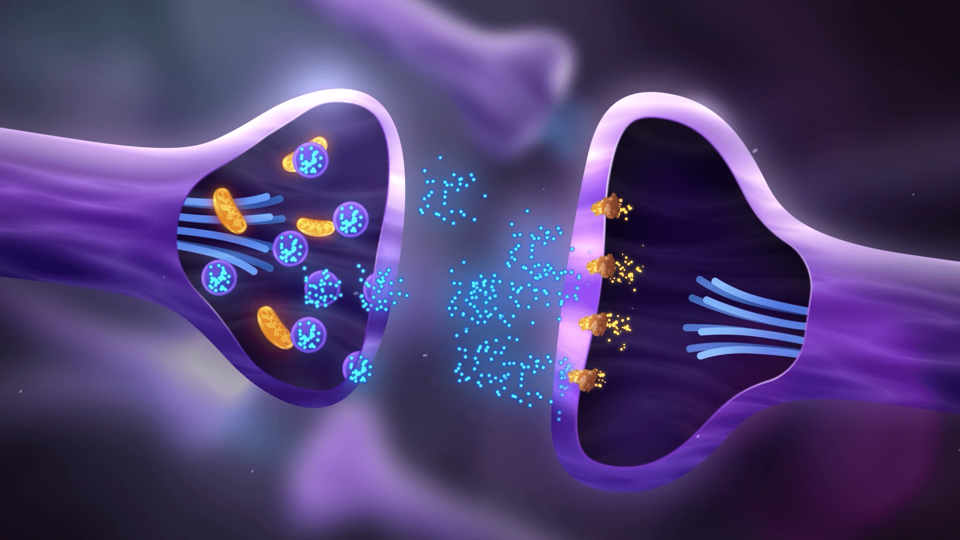 2d scientific animation showing neuron