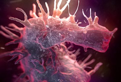 3D model of a seahorse designed by Random42