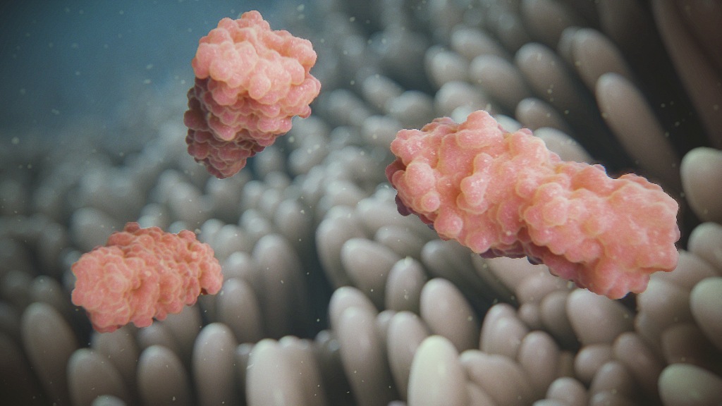 Toxins Infecting Animal Intestines in Animation