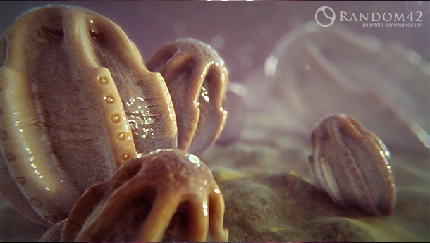 3D model of a butterfly egg designed by Random42