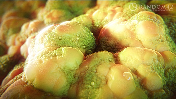 3D model of frog skin designed by Random42