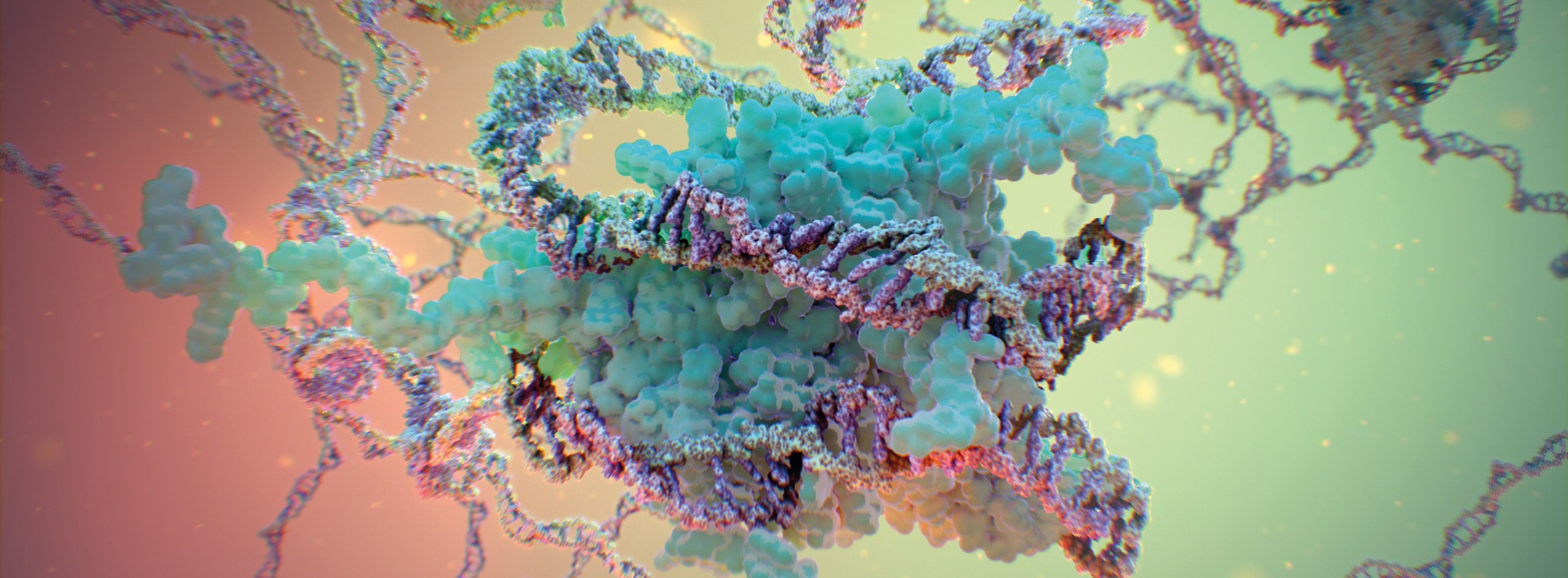 3D model of DNA histone designed by Random42