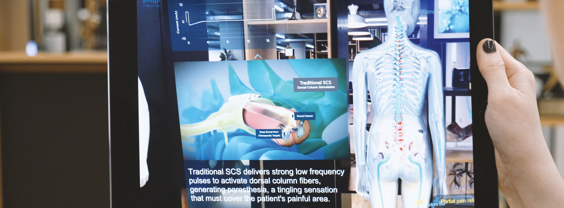 Augmented Reality skeleton designed by Random42