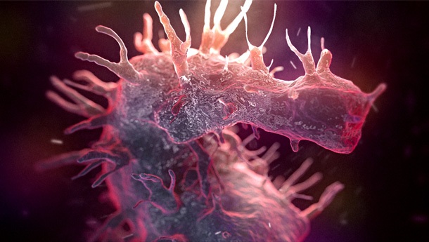 3D model of a seahorse designed by Random42