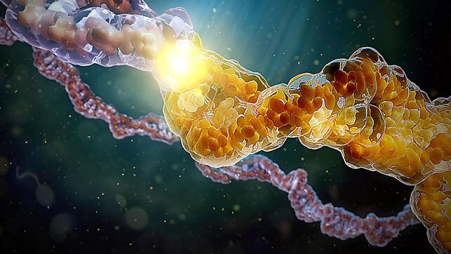 3D model of plasmid designed by Random42