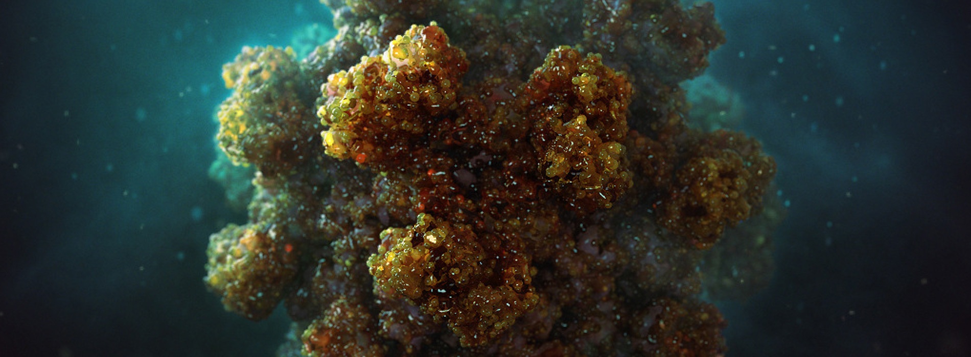 3D model of a virus designed by Random42