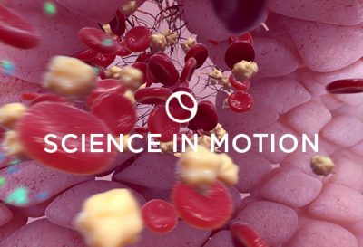 3D model of blood clotting designed by Random42