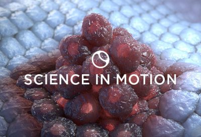 3D model of cancer pathways designed by Random42