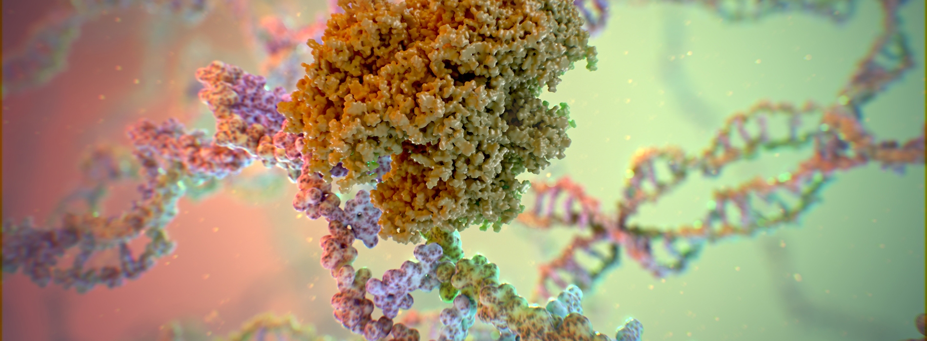 Pharmaceutical animation