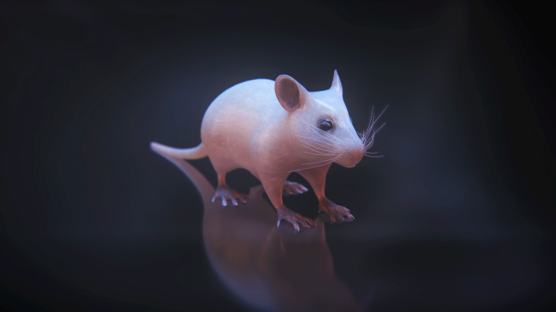 3D model of a mouse designed by Random42