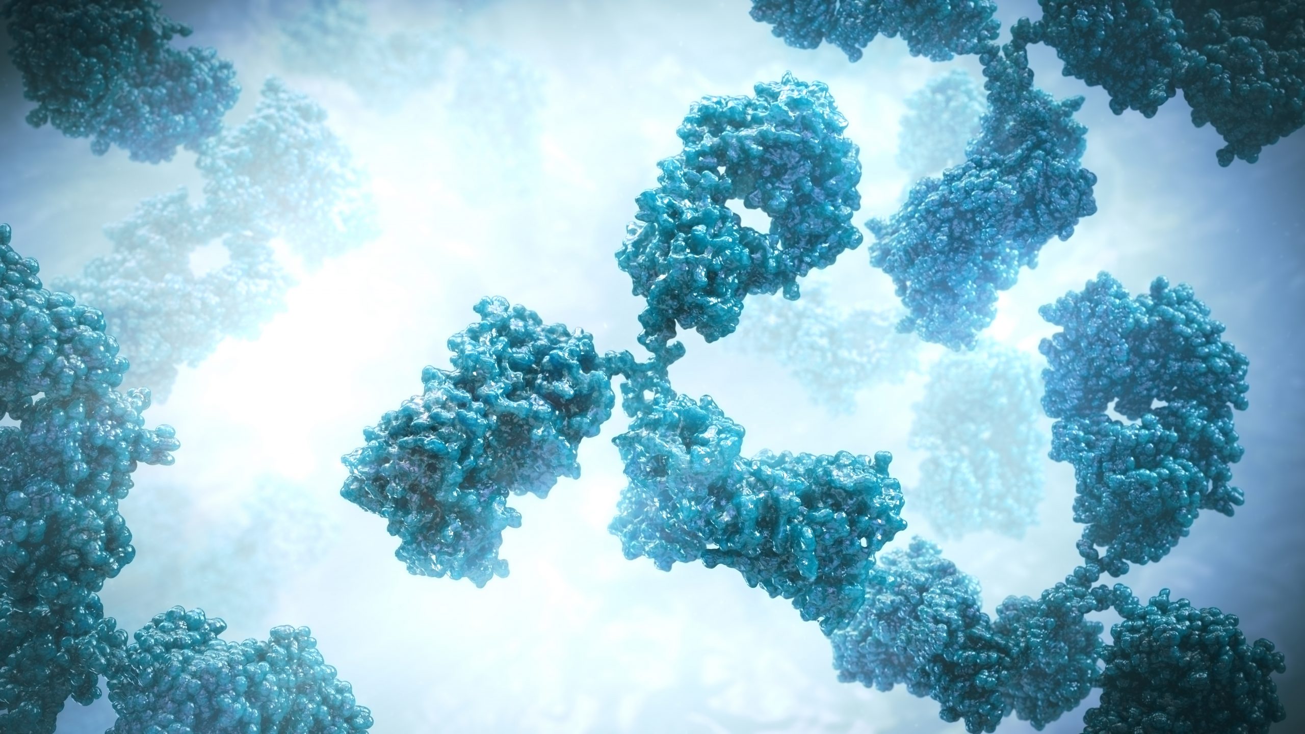 3D model of antibody designed by Random42