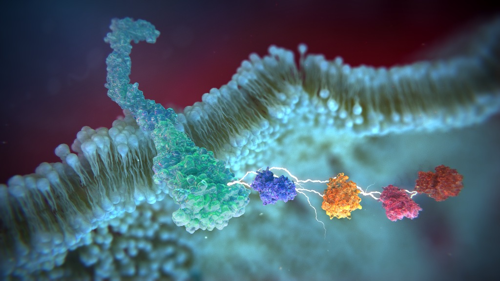 3D model of lipid surface designed by Random42